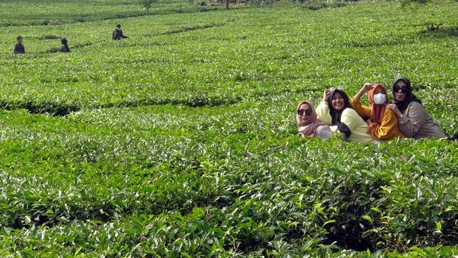 Selain lokasinya yang dekat Jakarta, di Bogor terdapat beragam destinasi wisata yang menarik dan seru untuk anak-anak.