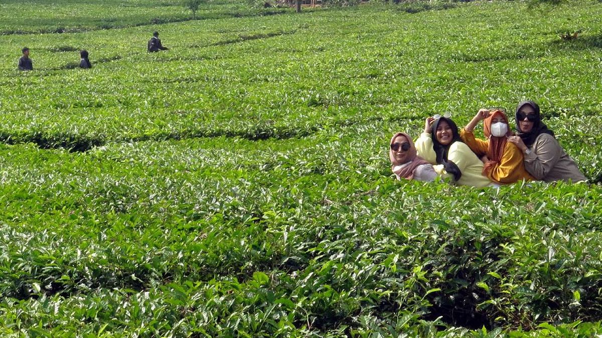 Libur Sekolah ke Mana? Ini 5 Tempat Wisata Outdoor Ramah Anak di Bogor