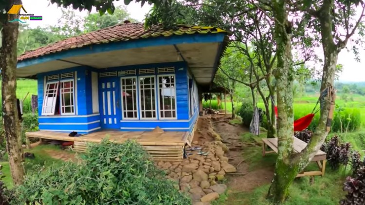 Rumah tengah sawah yang sejuk dan asri.