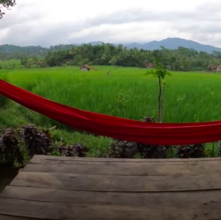 <p>Tampak ayunan merah menambah kenyamanan rumah, diikat di dua batang pohon di samping rumah. Kalau siang-siang bersantai di sini, pasti lelap banget buat tidur ya. (Foto: YouTube Petualangan Alam Desaku)</p>