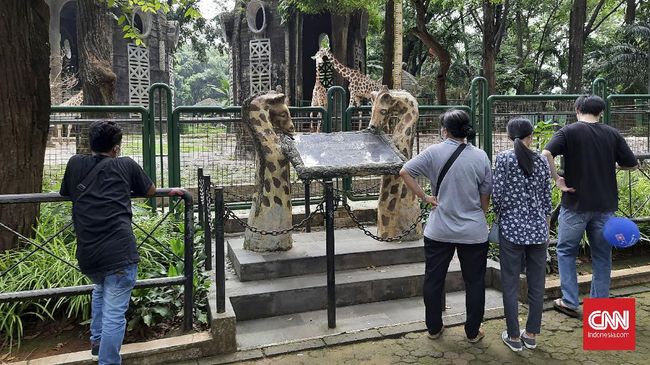 Ini sebenarnya adalah wahana monorail kereta karakter dinosaurus lintas layang yang sejak lama sudah ada di Taman Margasatwa Ragunan, Jakarta.