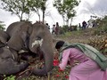 FOTO: Doa Terakhir untuk Belasan Gajah yang Tewas