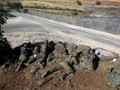 Israel Tembaki Pedemo Libanon Pro-Palestina, 1 Orang Tewas