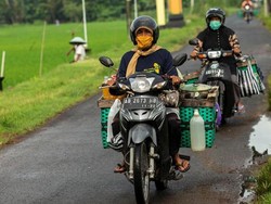 Geliat Industri Jamu di Tengah Pandemi