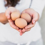 7 Manfaat Konsumsi 2 Butir Telur Setiap Hari, Bisa Mencegah Kanker