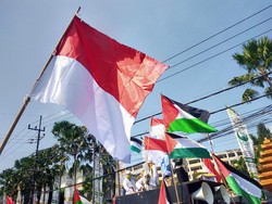 Kecam Israel, Pria di Semarang Gelar Aksi Topo Pepe
