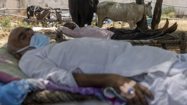 Sekelompok pemuka agama Hindu menggelar doa bersama di sebuah kuil di India untuk meminta para dewi virus corona menjinakkan pandemi.