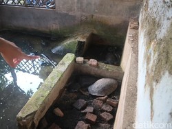 Kisah di Balik Tradisi Bulusan di Kudus yang Digelar Tanpa Keramaian
