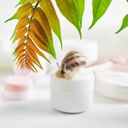 Snail Mucin, Lendir Siput dengan Sejuta Manfaat dalam Kandungan Skincare!