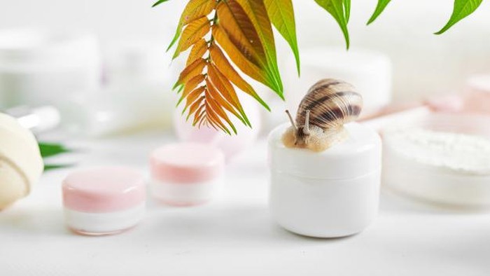 Snail Mucin, Lendir Siput dengan Sejuta Manfaat dalam Kandungan Skincare!