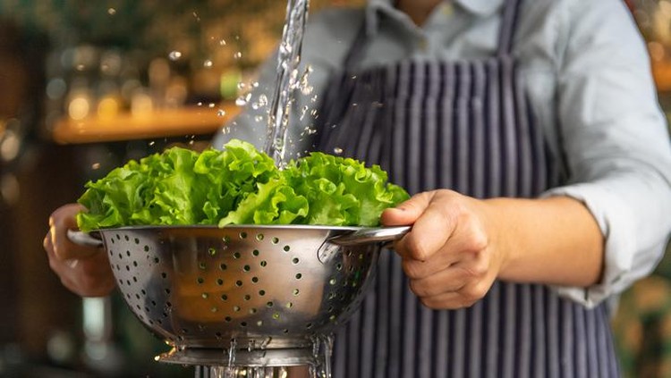 6 Sayuran yang Gampang Ditanam dalam Pot di Rumah