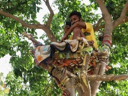 Positif COVID-19, Pria Ini Terpaksa Isolasi Diri di Atas Pohon Selama 11 Hari