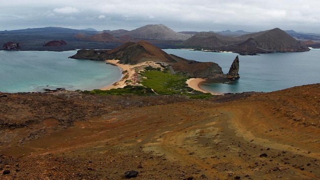 Klaim Palsu Beredar di Facebook: Pulau Galapagos Diduga Sepi dari Kehidupan Hewan