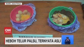 VIDEO: Heboh Telur Palsu, Ternyata Asli