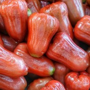 Buah yang Cocok Dikonsumsi di Musim Kemarau, Dijamin Terhidrasi Sepanjang Waktu