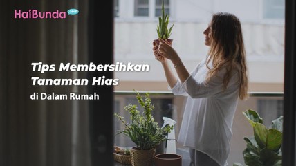 Detik Network