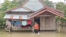 5 Desa di Luwu Utara Sulsel Dilanda Banjir Usai Sungai Rongkong Meluap