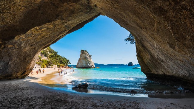 Zealandia terpisah dari benua besar Gondwana antara 79 hingga 83 juta tahun yang lalu. Berikut fakta Benua Zealandia yang tersembunyi di bawah laut.
