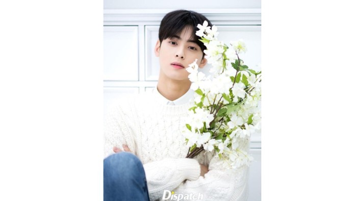 Dari awal kemunculannya, visual Cha Eun Woo sudah menarik perhatian publik / foto: instagram.com/koreadispatch