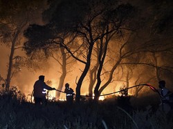 Kebakaran Hutan di Siprus Terburuk dalam Sejarah