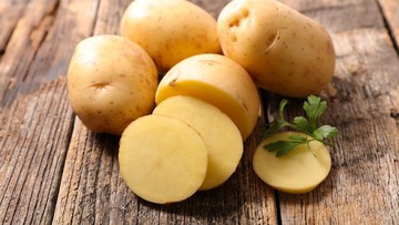 SNACK MPASI KEKINIAN KESUKAAN SI KECIL