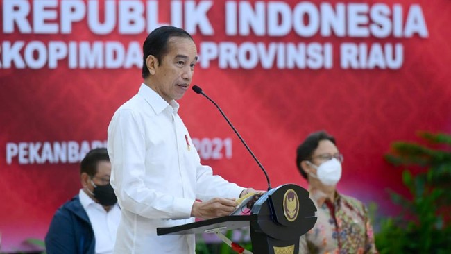 Presiden Jokowi mencatat 10 provinsi dengan pertumbuhan ekonomi positif pada kuartal I, antara lain Riau, Babel, Yogyakarta, NTT, Sulut, Sulteng dan Sultra.