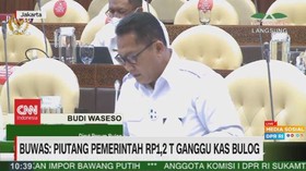 VIDEO: Buwas: Piutang Pemerintah Rp.1,2 T Ganggu Kas Bulog
