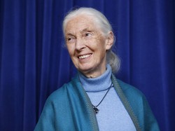 Peneliti Simpanse Jane Goodall Raih Penghargaan Templeton