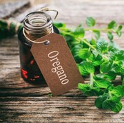 Beragam Manfaat Minyak Oregano untuk Kesehatan, Ampuh Turunkan Kadar Kolesterol!