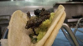 Renyah Taco Jangkrik 'Brood X' yang Muncul 17 Tahun Sekali