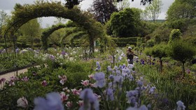 FOTO: Menyusuri Taman Indah Inspirasi Claude Monet
