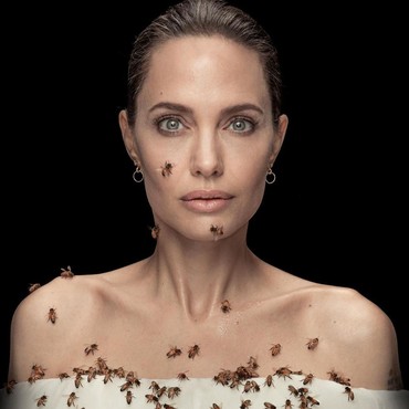 Pemotretan dengan Lebah, Angelina Jolie Rela Bau Badan Tak Mandi 3 Hari
