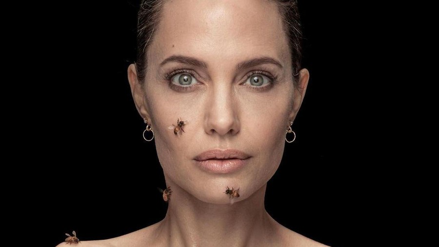 Pemotretan dengan Lebah, Angelina Jolie Tak Mandi Selama 3 Hari