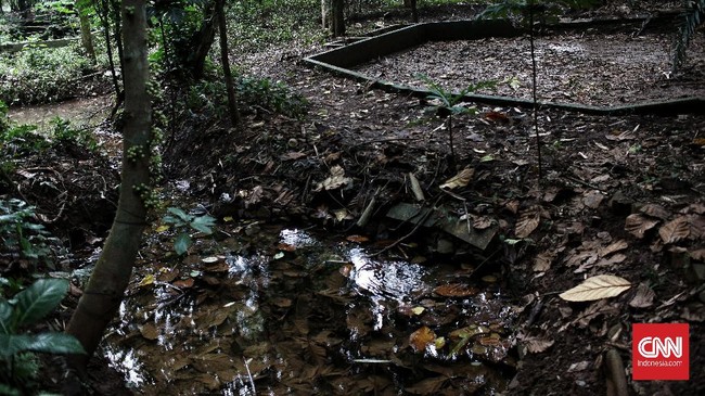 FOTO: Keanekaragaman Hayati, Solusi Kehidupan Ada di Alam