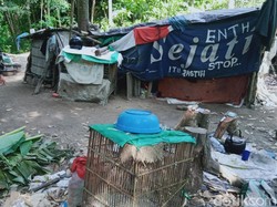 Kisah Pak Entit Belasan Tahun Hidup Sendirian di Tengah Ladang Klaten