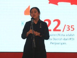 Antara Teh Botol Puan dan Elektabilitas di Survei LSI Denny JA