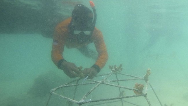 FOTO: Sederet Aksi untuk Lingkungan di Pulau Harapan