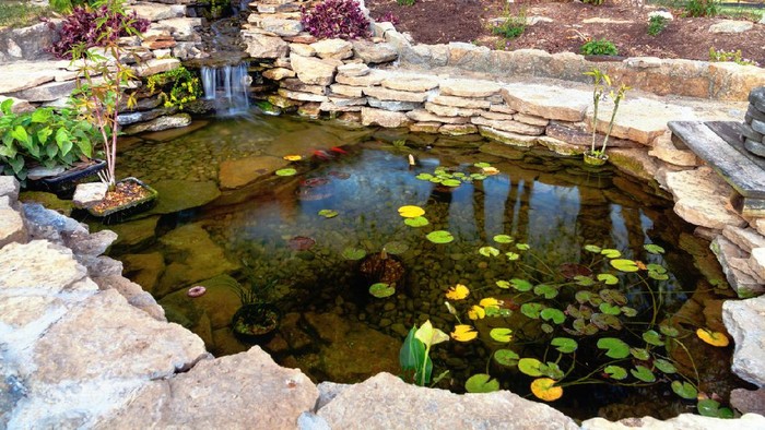 Decorative koi pond in a garden