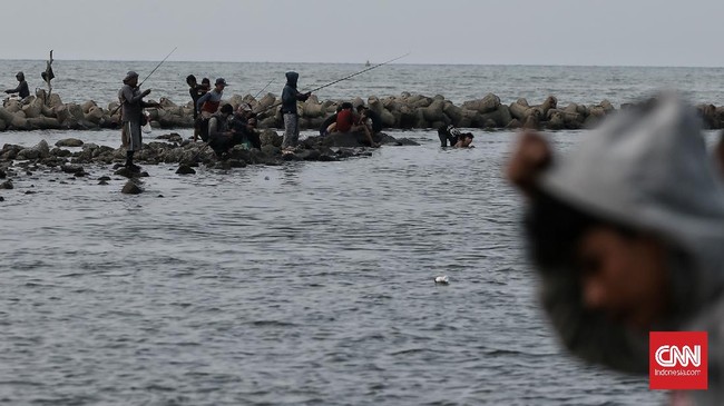 DPRD DKI meminta Dinas Lingkungan Hidup DKI segera berkoordinasi dengan pemerintah pusat terkait temuan konsentrasi tinggi Paracetamol di laut Jakarta.