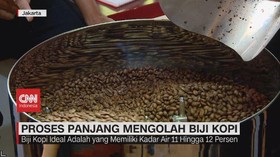 VIDEO: Proses Panjang Mengolah Biji Kopi