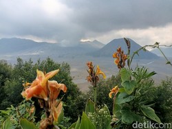 Gunung Semeru Erupsi, Warga Dilarang Aktivitas di  Sekitar Puncak