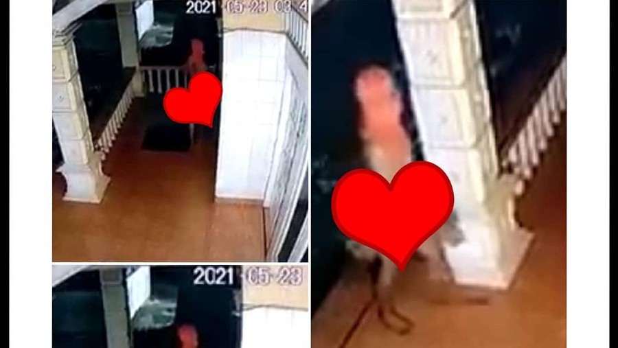 Viral