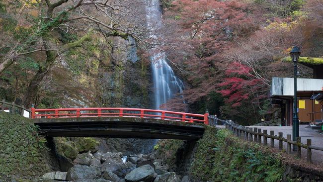 Awalnya, Jepang bukan tujuan utama saya untuk melanjutkan pendidikan. Tapi akhirnya, saya jatuh cinta dengan negara ini.