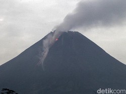 Dalam 12 Jam, Gunung Merapi 6 Kali Luncurkan Awan Panas