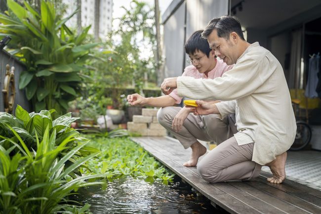 Buat Sendiri Kolam Ikan Minimalis Untuk Manfaatkan Halaman