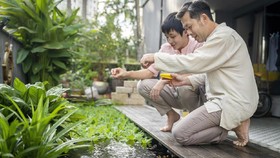 Buat Sendiri Kolam Ikan Minimalis untuk Manfaatkan Halaman
