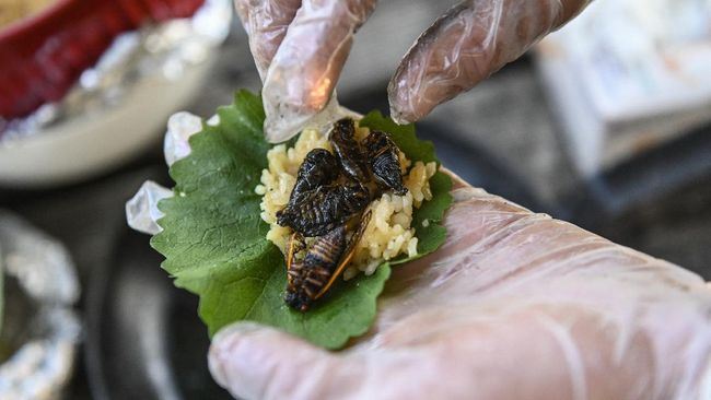Setelah taco jangkrik, kini AS juga diramaikan dengan sajian sushi jangkrik 'Brood-X'. Jangkrik dianggap sebagai salah satu bahan makanan berkelanjutan.