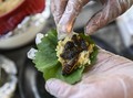 FOTO: Lezat Sushi Jangkrik 'Brood-X' yang Langka