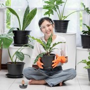 Memelihara Tanaman Hias Bisa Sekaligus Merawat Jiwa, Benarkah?