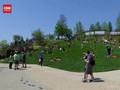 VIDEO: Taman Terapung, Hiburan Baru di New York City